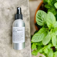 Our beloved natural bug spray has a *NEW LOOK* 🤩⁠
⁠
We've upgraded our bottles to lightweight aluminum so they're even better to take on the go! Pair it with our Not Today, Bugs mosquito candle for those intimate moments around the fire, at outdoor parties, or enjoying sunsets on the patio.⁠
⁠
❤️ Pin this if you're calling in the energy of a bug-free summer!⁠
⁠
⁠
#naturalinsectrepellent #naturalbugrepellent #naturalbugspray #naturalmosquitorepellent#toxinfree #allnaturalingredients Best Essential Oil Diffuser, Natural Bug Spray, Lips Essentials, Natural Bug Repellent, Natural Mosquito Repellant, Candle Safety