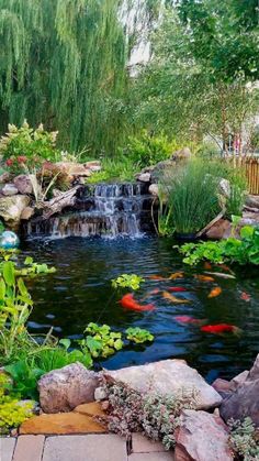 a small pond surrounded by rocks and plants