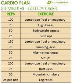 500 Calorie Workout, Losing Weight For Women, 30 Minute Cardio Workout, Ab Workouts For Women, Benefits Of Cardio, Burn 500 Calories, 30 Minute Cardio, Best Abdominal Exercises, Body Slimmer