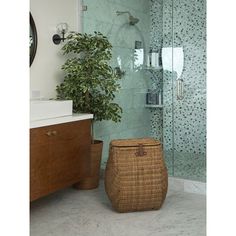 a bathroom with a shower, sink and toilet in it's corner area next to a potted plant