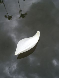 a white boat floating on top of a body of water