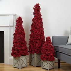 three small red trees are placed next to each other in cement planters on the floor