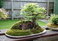 a bonsai tree in the shape of a hobbot house with moss growing on it