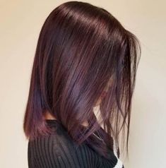 All Over Dark Burgundy Hair Color, Eggplant Brunette Hair, Swartzkopf Hair Color Formula, Chocolate Purple Hair, Violet Hair Highlights, Red Mahogany Hair Color, Dark Colored Hair, Mahogany Brown Hair Color, Mahogany Hair Color