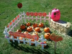 pumpkins are arranged in a fenced yard with decorations on the lawn and an orange pumpkin