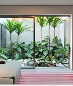 a living room filled with lots of plants next to a sliding glass door that leads to a patio