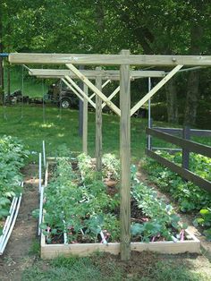 an outdoor vegetable garden with various vegetables growing in it