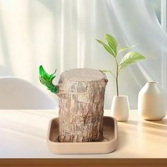 there is a small tree stump on the table