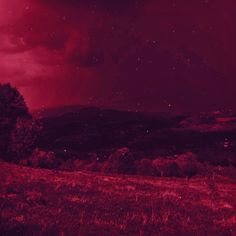 the sky is red and there are stars in the night sky above some trees on a hill