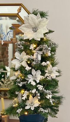 a potted christmas tree with white flowers and lights