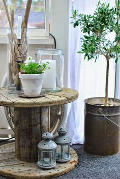 there is a potted plant on the table next to two buckets with plants in them