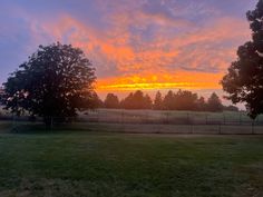 the sun is setting over an open field with trees in the foreground and grass on the far side