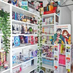 the shelves are filled with anime books and toys