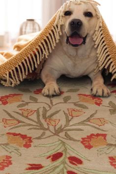 a dog is laying on the floor under a blanket with its tongue out and it's eyes open