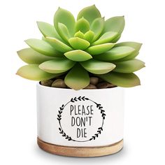 a potted plant that says please don't die on the front and side