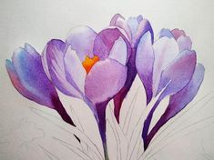 watercolor painting of purple flowers on white paper