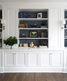 a white bookcase with many books on top of it and a potted plant in the middle