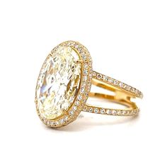 an oval shaped diamond ring with two rows of diamonds on each band and the center stone surrounded