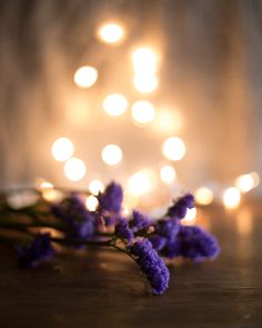 some purple flowers on a wooden table with lights in the backgroung behind them