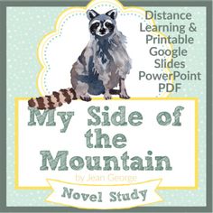 a book cover with a raccoon sitting on top of the title, my side of the mountain