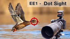 a bird flying over water next to a camera with the words ef1 dot sight