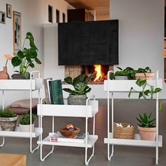 three white shelves with plants and books on them in front of a fire place that is lit