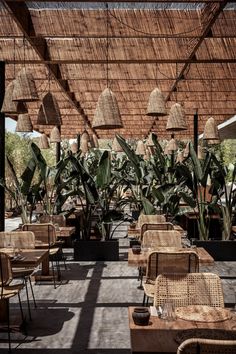 an outdoor dining area with wicker chairs and plants on the tables under thatched roof