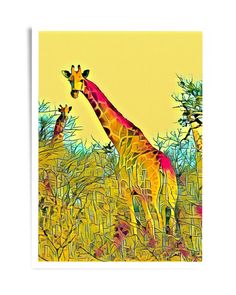 two giraffes are standing in the tall grass