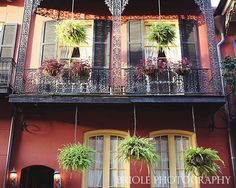 an ornate building with potted plants on the balcony and balconies above it