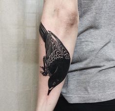 a black and white bird tattoo on the arm