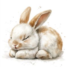 a watercolor painting of a rabbit sleeping