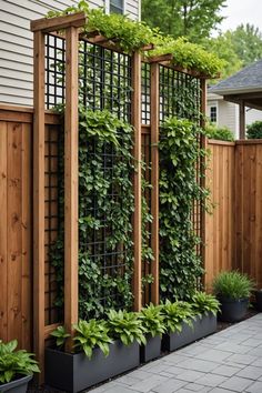 an outdoor garden with plants growing on the side of it and trelliss attached to the fence