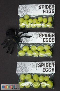 three bags of spider eggs on a table