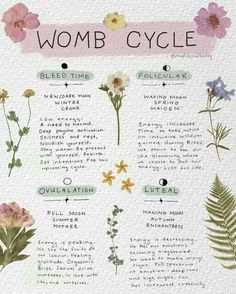 Natural Cycle Tracking, Menstruation Cycle Phases, Cycle Tracking Menstrual Journal, Menstrual Affirmations, Womb Herbs, Womb Cycle, Tracking Cycle, Womb Meditation, Menstruation Aesthetic