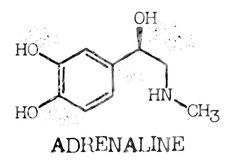 the structure of an adrenainne is shown in black and white, which has been