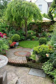 a garden with lots of plants and flowers