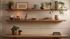 two shelves with plants and candles on them