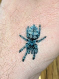 a small blue spider sitting on the palm of someone's hand