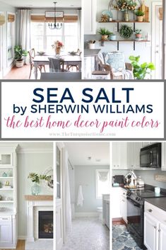 the best home decor paint colors for sea salt by sheryln williams, featured in this post