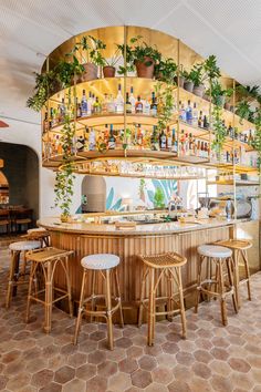 the bar is decorated with potted plants and wooden stools in front of it