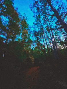 the sky is blue and there are trees in the foreground