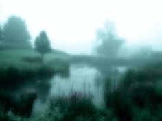 a foggy landscape with trees and water in the foreground