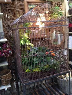 a bird in a cage on top of a table next to other birds and plants