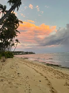 the beach is lined with palm trees as the sun sets