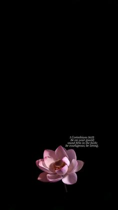 a single pink flower is in the dark