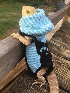 a stuffed animal lizard wearing a blue and black scarf sitting on a wooden fence post