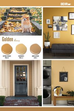 an image of a dog sitting in front of a door with the colors golden and brown