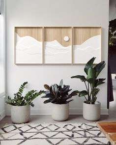 three potted plants sit on the floor in front of two framed art pieces above them