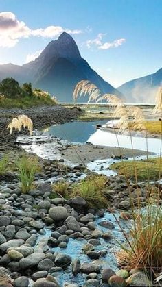 Travel world New Zealand Landmarks, Milford Track New Zealand, New Zealand Animals, Nz Landscape, Milford Sound New Zealand, Milford Track, Nz Travel, New Zealand Landscape, Travel New Zealand