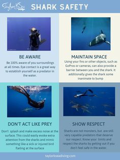 the shark safety rules are shown in three different languages, including one for diving and another for swimming